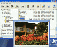 Active@ File Recovery for Windows screenshot